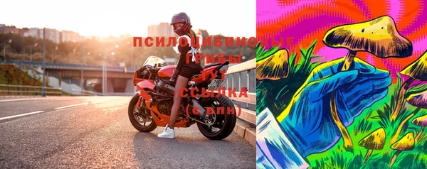 стафф Беломорск