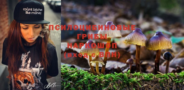 гидропоника Белоозёрский