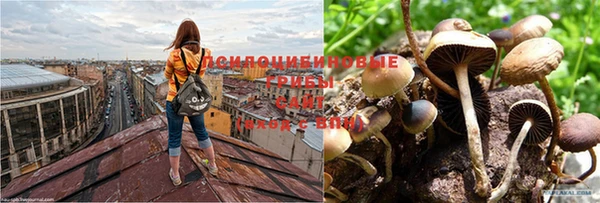 гидропоника Белоозёрский