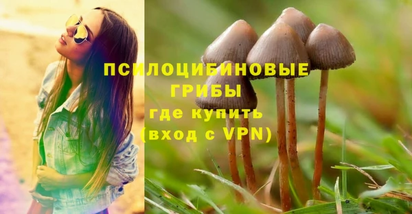гидропоника Белоозёрский