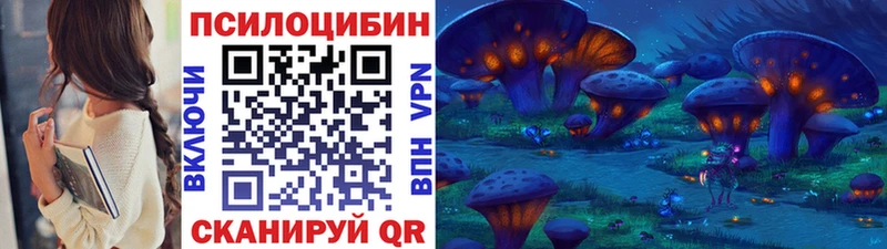 купить наркотики цена  Высоцк  Псилоцибиновые грибы Psilocybine cubensis 